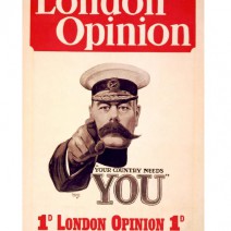 Your Country Need You